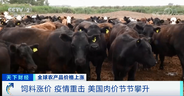 高粱大涨82.1％、玉米大涨45.5%！全球食品价格上涨，有地方涨幅惊人